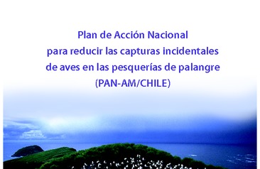 Plan de acción