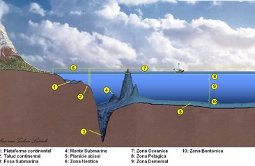 Costa de Chile Zonas de interés pesquero y biológico