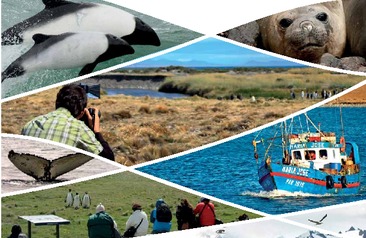 Manual de buenas prácticas para el turismo de intereses especiales en ecosistemas marinos y costeros australes