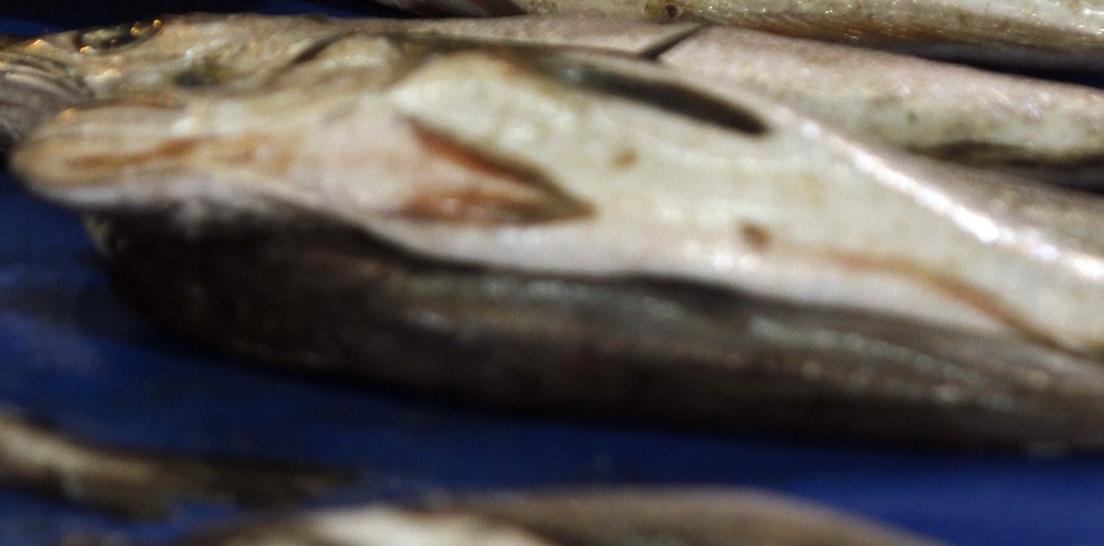 Gobierno y sector pesquero acuerdan  plan para recuperar a la merluza común