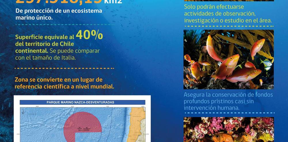 Gobierno de Chile decreta oficialmente creación del Parque Marino Nazca-Desventuradas