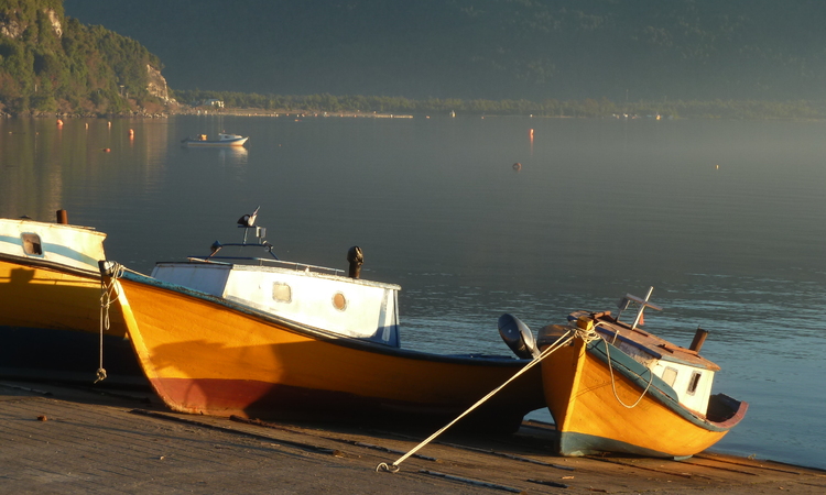 En Aysén Subpesca amplía plazo para postular ideas de negocios de pesca artesanal