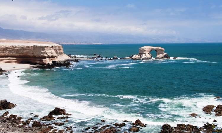Abren concurso de emprendimiento local para pescadores artesanales de la Región de  Antofagasta