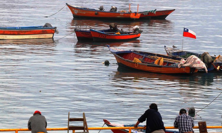 Lanzan concurso para fortalecer la productividad de pescadores de la Región de Tarapacá