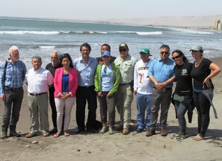 Grupo Nacional de Tortugas marinas se reunió en Arica